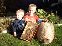 Kopie von kinderbienen06 (640x480)